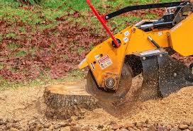 Best Tree and Shrub Care  in Sheridan, CO